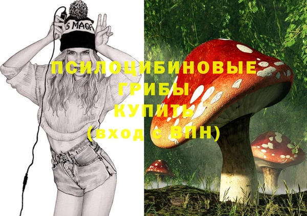 a pvp Алексеевка