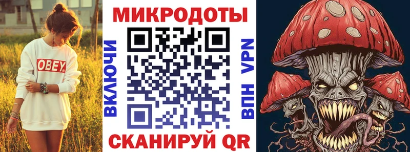 где найти наркотики  Новокузнецк  Псилоцибиновые грибы мухоморы 